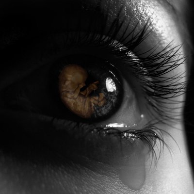 Regina Brett | Moth Writes