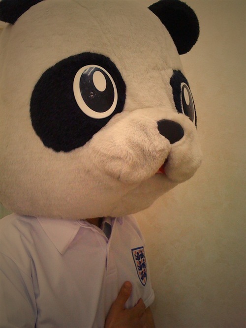 ikoikopanda's profile picture. パンダ理容室各店の混雑状況、お得情報をどんどんツィートしていきます！！リアルタイムな情報をGETしてご来店ください！！