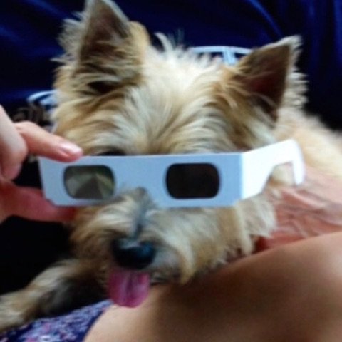 PHook4000's profile picture. A dynamic medley of hops and a crisp, satisfying finish define this unexpectedly sessionable Twitter.