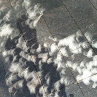 Hollering (@hollatchao) 's Twitter Profile