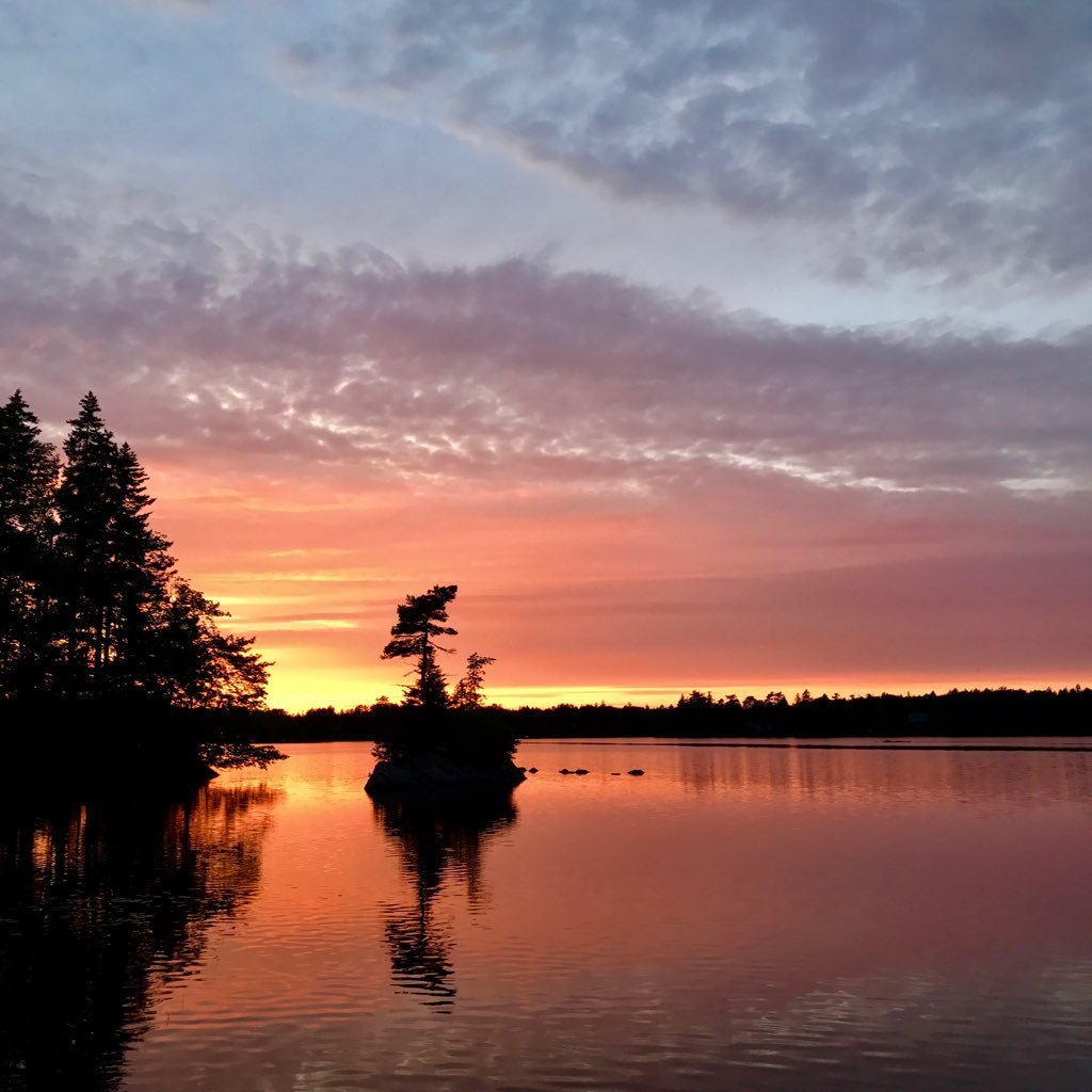 dmtrider's profile picture. 👪 🥌 📚 🍷 ☀️🐱🍣🌶🇨🇦