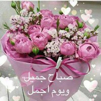 سيف رامى (@siframi77) 's Twitter Profile