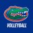 GatorsVB