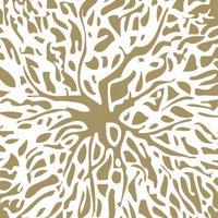 Poplar Grove Winery (@poplargrovewine) 's Twitter Profile