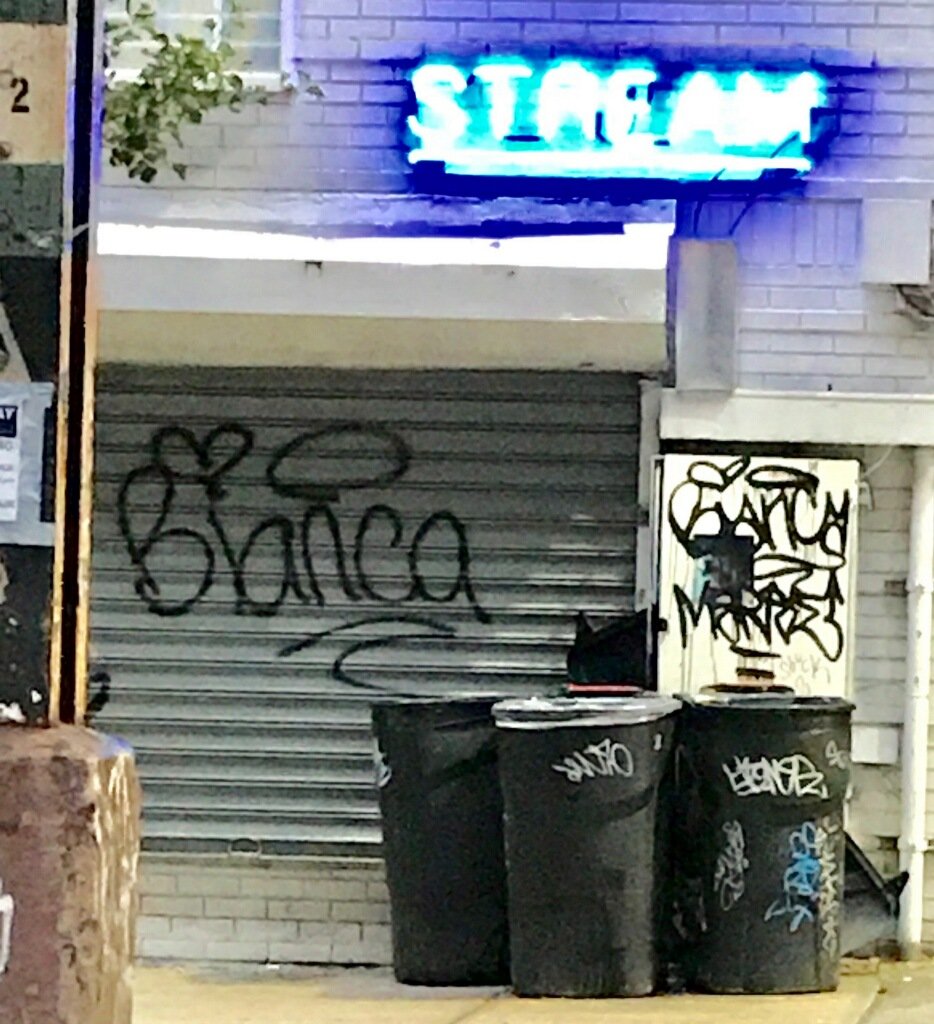 discoverbrevity's profile picture. Only the lovely