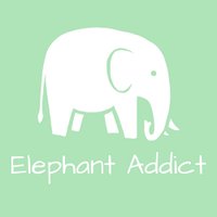 Elephant Addict (@addictelephant) 's Twitter Profile
