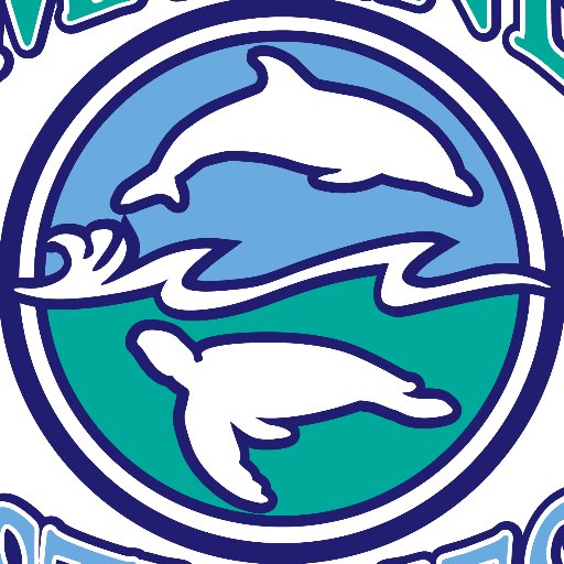 Marine Studies at Canterbury is a school-wide program for students in PK3 - grade 12, focusing on all aspects of marine science and environmental education.