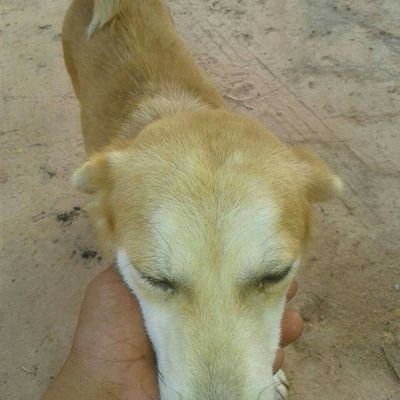 OjfGl9PUsL50N1i's profile picture. ชอบเเนวแปลกๆๆครับรักน้องคนติดตามเข้ามาคนสนใจนะคับใครไม่ชอบไม่ต้องเสือกเข้ามาติดตามขอจริงใจเท่านั้นอ่านกันด้วยกลุ่มคนรักน้องเท่านั้นคับเข้ามาติดตามไม่ใช่อย่า