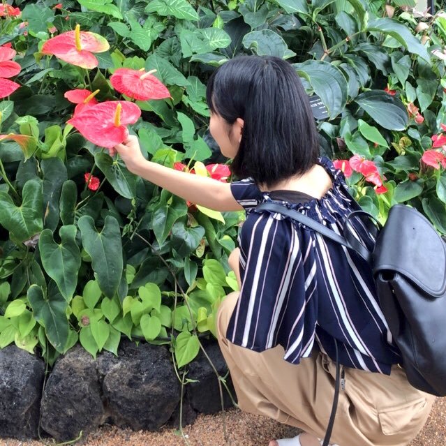 MiAkari0828's profile picture. 看護学生🕊 神奈川☞宮崎