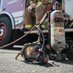 MATTHEWS FIRE & EMS (@matthewsfireems) Twitter profile photo MATTHEWS FIRE & EMS (@matthewsfireems) Twitter profile photo
