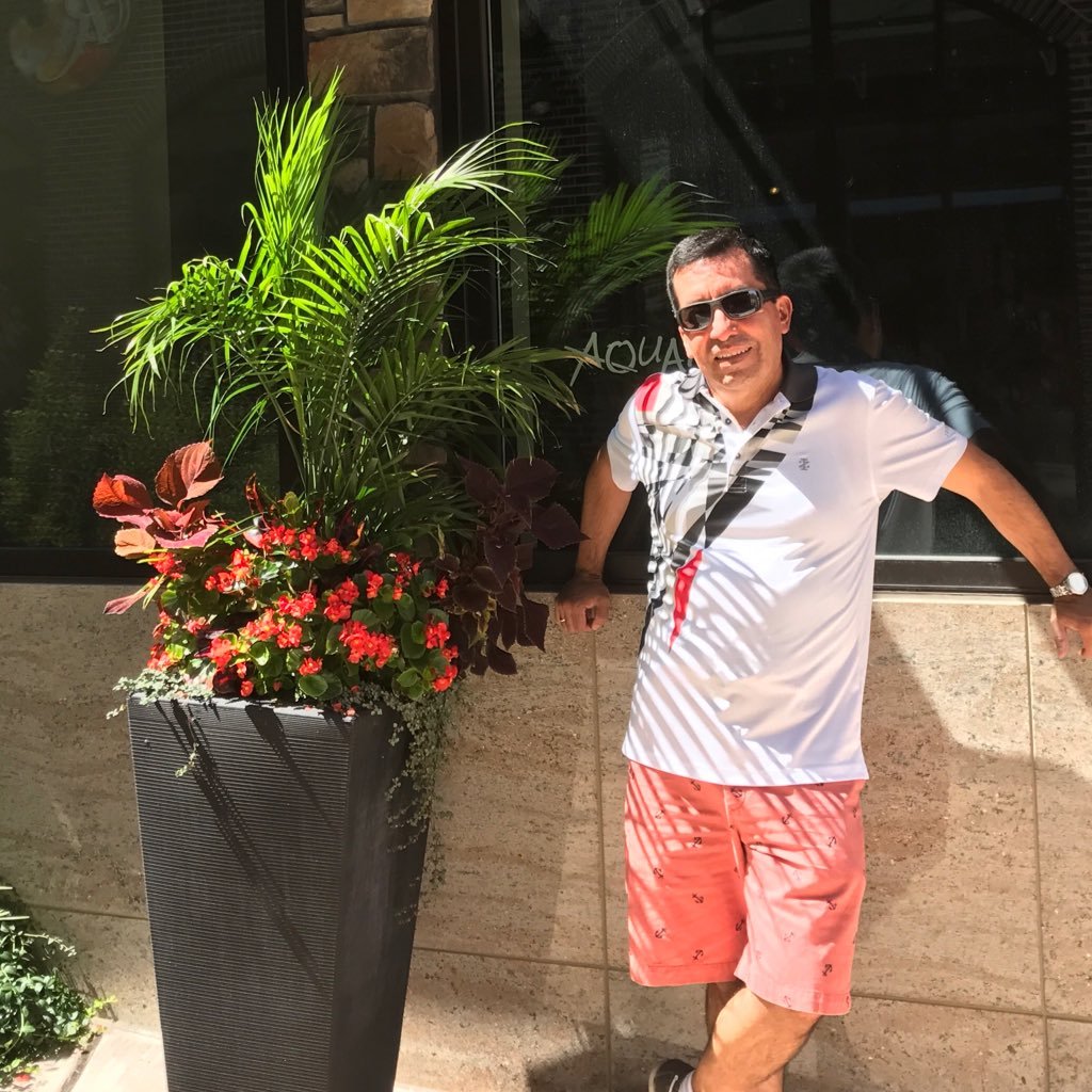 diplovi's profile picture. 