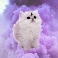 Purr Evil (@purr_evil666) 's Twitter Profile