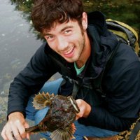 Thaddaeus Buser, PhD (@cottus_rex) 's Twitter Profile