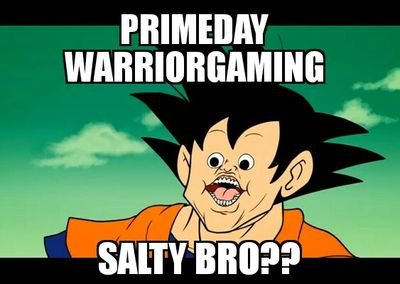 PrimeDayWarrior's profile picture. youtube (PrimeDayWarriorGaming)