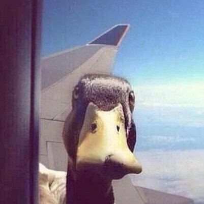 Amamos la aviación; amamos la tecnología... Y los patos nos caen bien.