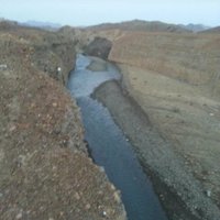 بدر الشامسي (@pfrotpedhqjssa3) Twitter profile photo