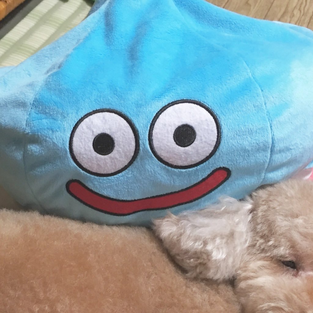 じぇふぁさんのプロフィール画像
