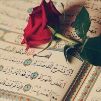 فايزة الشمري (@fozrod) 's Twitter Profile