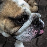 Want Remote Job? (@wantremotejob) 's Twitter Profile Photo Want Remote Job? (@wantremotejob) 's Twitter Profile Photo