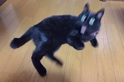 bbcok2's profile picture. 