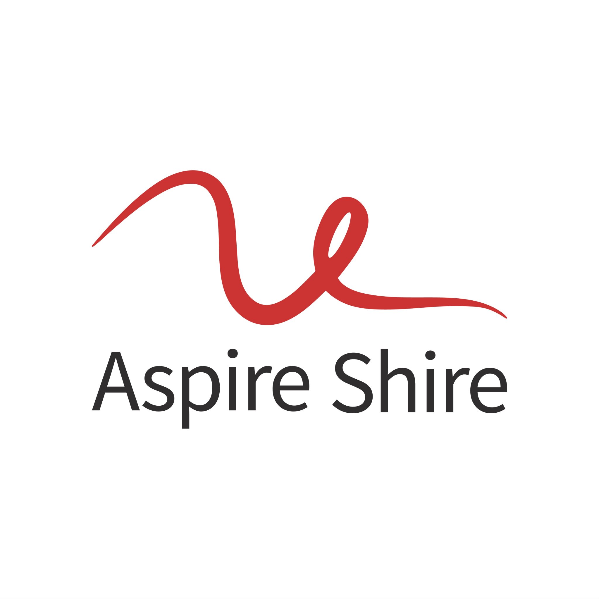 Aspire Shire is a creative web design company that wants to help service-based businesses grow. Winner of Theo Paphitis #SBS.