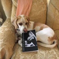 Linda Parker (@lindamparker56) 's Twitter Profile