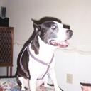 Deb Leonard - @harpuamom - Twitter