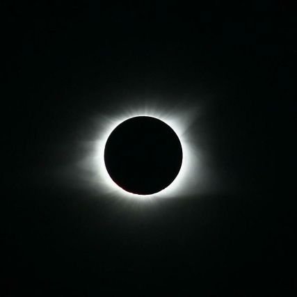 juanelvez's profile picture. 