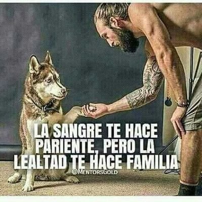 machoo alfa