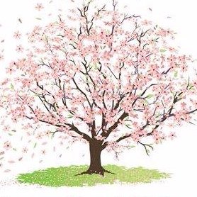 Blossom Tree Initiative, an exciting new charity created to support underfunded care homes across England. #care #support #carers #charity #dementia #equality