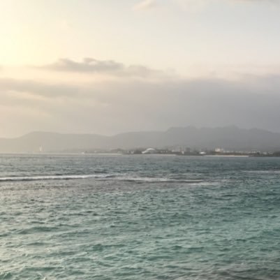 hitsuzi_udon_7's profile picture. 社会人 デスクワーク系の仕事をしています。軽度の難聴 猫中心にRTします