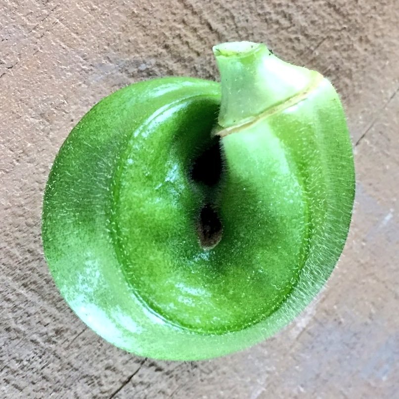 umai2612's profile picture. timelesz箱推し、ふましの推し。 日常のことも呟きます。  INTJ      社労士/フランス語/国際情勢