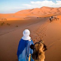Hassan (@lebrundusahara) 's Twitter Profile