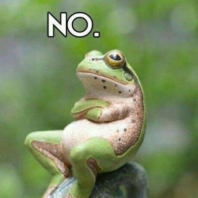 NitsaSimi's profile picture. 