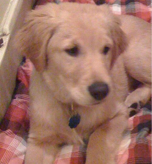 Newest (and cutest) member of the @mjkaiser & @npost family.