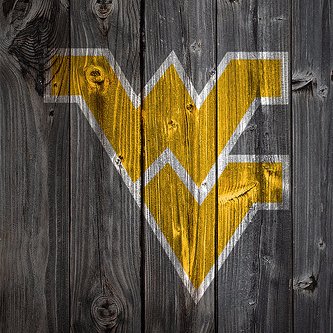 YnotMcD's profile picture. Trying to stay focused on moving forward