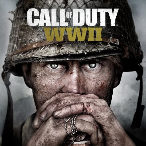We are here to help spread the word about WWII.  We are not an official Call of Duty page