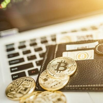 Cryptocurrency Enthusiast!
⬇ Bitcoin ⬇ Altcoin ⬇ Blockchain ⬇ Etherum ⬇ Litecoin