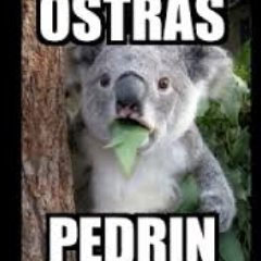 🔞🔞🔞🔞🔞🌈🍑🍑Contenido solo para adultos. Material compartido de la red... Lo que me pone, fantasías pendientes y otras ya realizadas