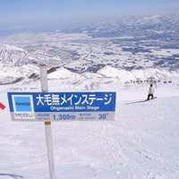 snow_arai ⛷ (@snow_arai) 's Twitter Profile Photo snow_arai ⛷ (@snow_arai) 's Twitter Profile Photo