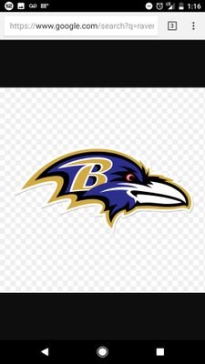 We are have to keep our great fans up to date on the great Ravens. We are hoping for a great season.. maybe no one will get fired