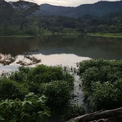 tovaraul's profile picture. Especialidad en Derecho Tributario/ Secretario de TCC #ColegasPJF/ #soyganadero.