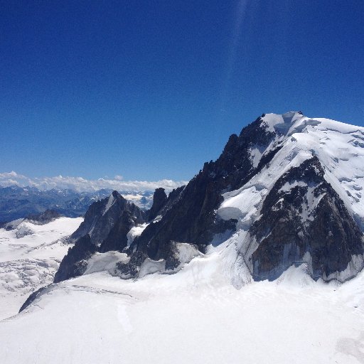 Vertacomicorii's profile picture. 