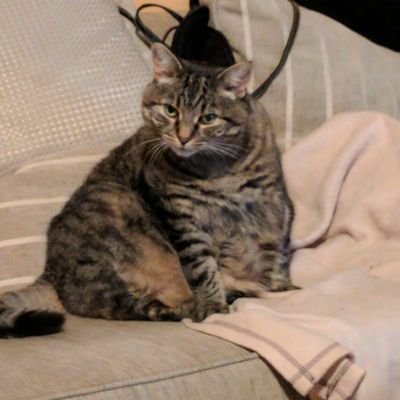 Jimbob78's profile picture. 