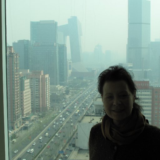 Professor mit Leidenschaft für China- Autorin von: Global Icons, (Wallstein) Videokunst (Beck Verlag) und Zeitgenössische Kunst in China (de Gruyter 2015)