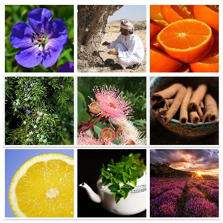 I am passionate about alternative approaches to health & wellness, including essential oils, healthy living and natural remedies. Love, Liz xxx