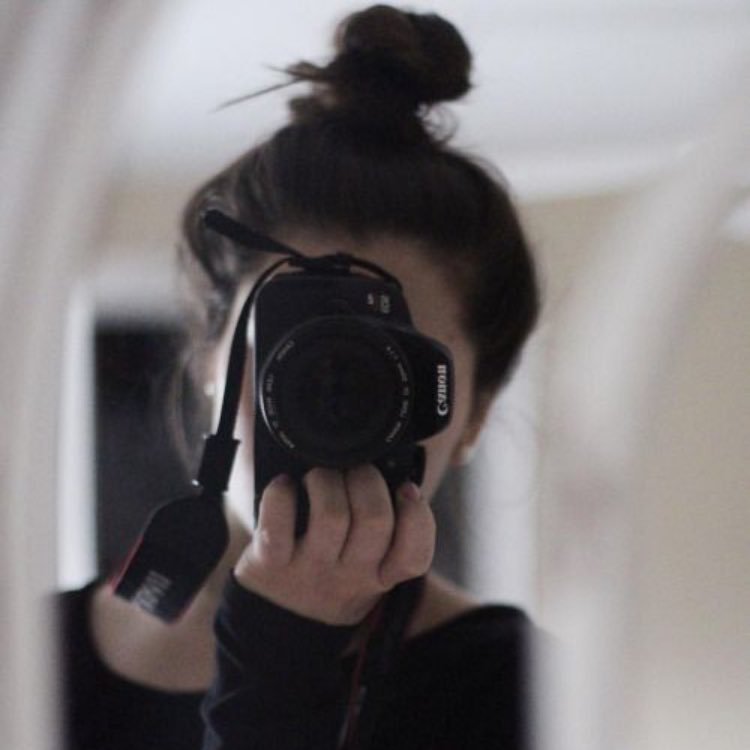 4historyclass's profile picture. so my history teacher is making me respond to all of donald trumps tweets