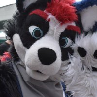 Coltlan Husky (@coltlanh) 's Twitter Profile