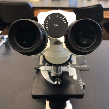 The ETSU Department of Health Sciences offers a B.S. in Health Sciences with concentrations in Microbiology & Human Health or a minor in Health Sciences.