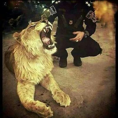 vdDgRmP7JtYxpTe's profile picture. ‏‏‏‏الله       ~~|©® الوطن.     الثوره‏‏‏‏‏‏‏‏‏‏